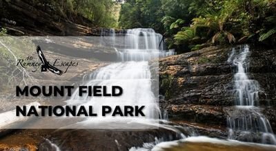 mount field national park