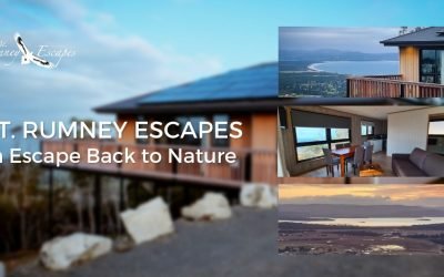 Mt. Rumney – An Escape Back To Nature