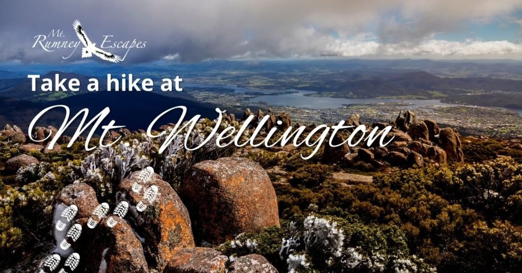 Take a Hike at Mt. Wellington