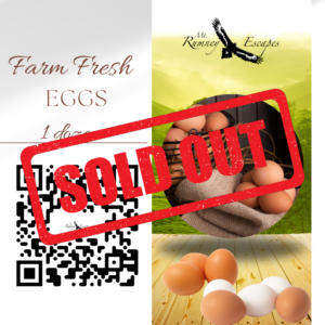 Farm Fresh Eggs (Sold Per Dozen)