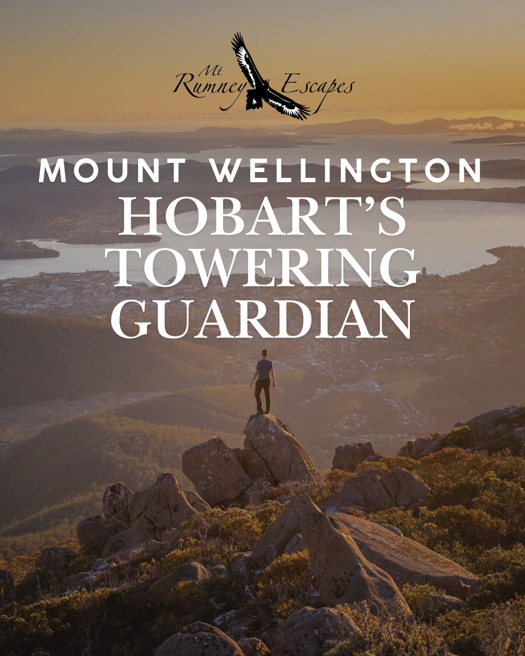 kunanyi / Mount Wellington – Hobart’s Best Lookout & Nature Escape