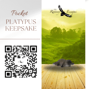 Pocket Platypus Keepsake