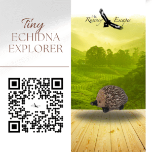 Tiny Echidna Explorer