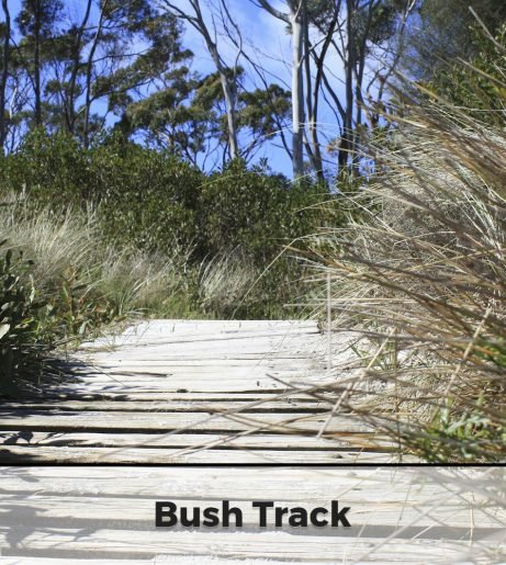Bush Track. Mt Rumney Escapes Accommodation