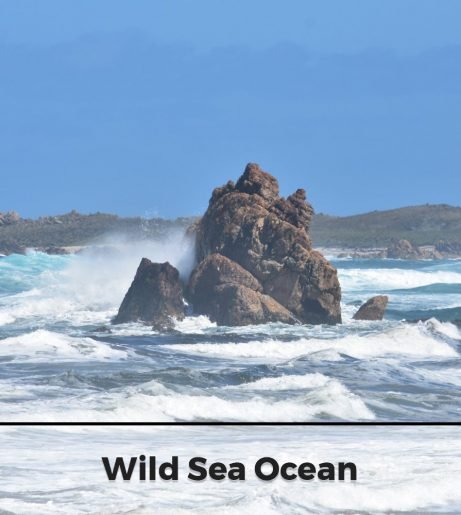 Wild Sea Ocean. Mt Rumney Escapes Accommodation
